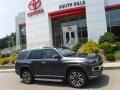 Magnetic Gray Metallic - 4Runner Limited 4x4 Photo No. 2