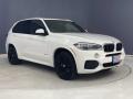 Alpine White - X5 xDrive35i Photo No. 38