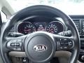 Dark Graphite 2019 Kia Sedona EX Steering Wheel