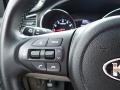Dark Graphite 2019 Kia Sedona EX Steering Wheel