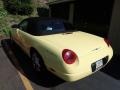 2002 Inspiration Yellow Ford Thunderbird Deluxe Roadster  photo #2