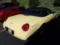 2002 Inspiration Yellow Ford Thunderbird Deluxe Roadster  photo #4