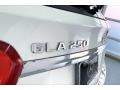 Polar White - GLA 250 Photo No. 31