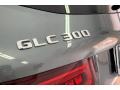2020 Selenite Grey Metallic Mercedes-Benz GLC 300  photo #31