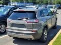 Sting-Gray - Cherokee Limited 4x4 Photo No. 4