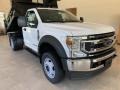 Oxford White - F550 Super Duty XL Regular Cab 4x4 Chassis Dump Truck Photo No. 8