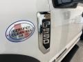 2021 Ford F550 Super Duty XL Regular Cab 4x4 Chassis Dump Truck Badge and Logo Photo