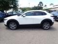 Snowflake White Pearl Mica - CX-30 Preferred AWD Photo No. 6