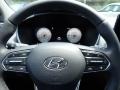 2022 Hyundai Santa Fe Black Interior Steering Wheel Photo