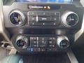 2020 Star White Ford F150 Platinum SuperCrew 4x4  photo #23