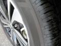 Super Black - Sentra SV Photo No. 8