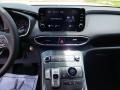 2022 Hampton Gray Hyundai Santa Fe SEL  photo #18