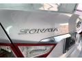 Radiant Silver - Sonata GLS Photo No. 29