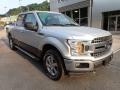 Ingot Silver - F150 XLT SuperCrew 4x4 Photo No. 8