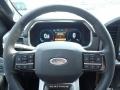 2021 Carbonized Gray Ford F150 Platinum SuperCrew 4x4  photo #20