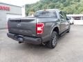 Magnetic - F150 XLT SuperCrew 4x4 Photo No. 2