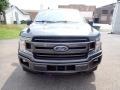 Magnetic - F150 XLT SuperCrew 4x4 Photo No. 4