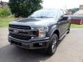 Magnetic - F150 XLT SuperCrew 4x4 Photo No. 5