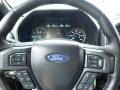 Magnetic - F150 XLT SuperCrew 4x4 Photo No. 18