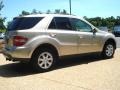 Desert Silver Metallic - ML 350 4Matic Photo No. 6