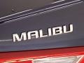 2017 Blue Velvet Metallic Chevrolet Malibu LT  photo #10