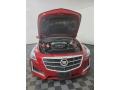 Red Obsession Tintcoat - CTS Luxury Sedan Photo No. 12