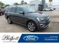 Magnetic 2020 Ford Expedition Limited