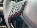 Magnetic Gray Metallic - C-HR Nightshade Photo No. 18