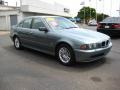 2001 Slate Green Metallic BMW 5 Series 530i Sedan  photo #7