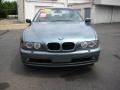 2001 Slate Green Metallic BMW 5 Series 530i Sedan  photo #8