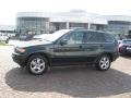 2003 Oxford Green Metallic BMW X5 4.4i  photo #1