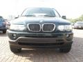 2003 Oxford Green Metallic BMW X5 4.4i  photo #4