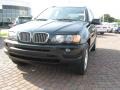 Oxford Green Metallic - X5 4.4i Photo No. 5
