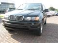 2003 Oxford Green Metallic BMW X5 4.4i  photo #5