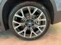 2021 BMW X1 xDrive28i Wheel and Tire Photo