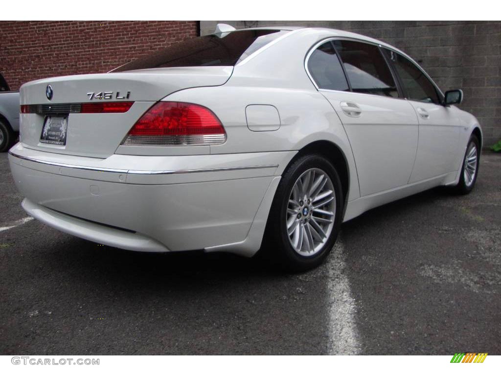 2004 7 Series 745Li Sedan - Alpine White / Basalt Grey/Flannel Grey photo #3