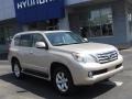 Satin Cashmere Metallic 2012 Lexus GX 460