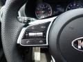 Black Steering Wheel Photo for 2021 Kia Forte #142521469