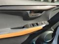 Glazed Caramel 2018 Lexus NX 300 Door Panel