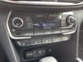 Black Controls Photo for 2020 Hyundai Santa Fe #142534525