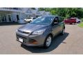 2013 Sterling Gray Metallic Ford Escape S  photo #3