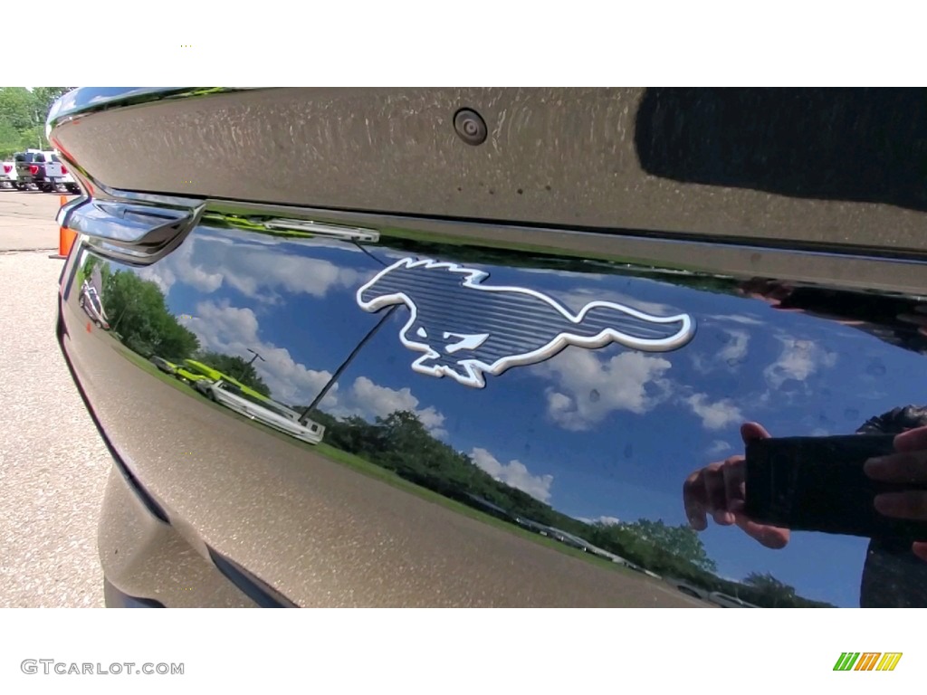 2021 Ford Mustang Mach-E Select eAWD Marks and Logos Photo #142537382