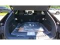 Black Onyx Trunk Photo for 2021 Ford Mustang Mach-E #142537526