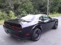 Pitch Black - Challenger R/T Scat Pack Widebody Photo No. 6