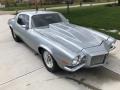 Silver - Camaro Coupe Photo No. 14