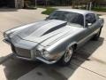 Silver - Camaro Coupe Photo No. 28