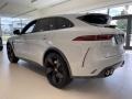 Yulong White - F-PACE SVR Photo No. 10