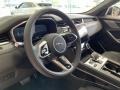 Ebony/Ebony Steering Wheel Photo for 2021 Jaguar F-PACE #142548424