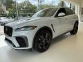 Yulong White 2021 Jaguar F-PACE SVR Exterior