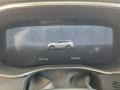 Yulong White - F-PACE SVR Photo No. 25